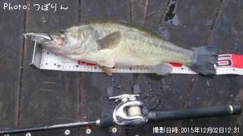 �֥�å��Х�