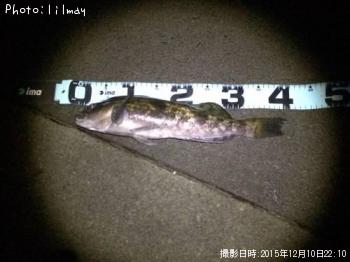 �����ʥ�