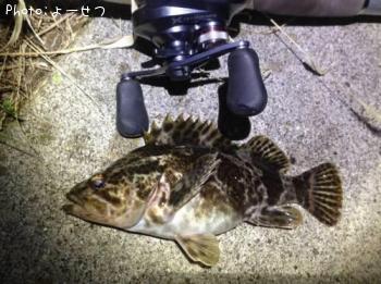 �����Υ���Х�