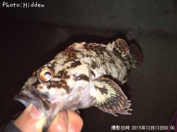 ²«¶â¥à¥é¥½¥¤