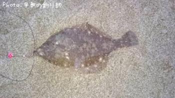 �ޥ����쥤