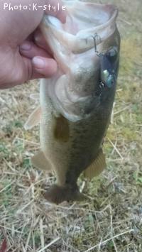 �֥�å��Х�