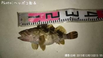 ¥¿¥±¥Î¥³¥á¥Ð¥ë