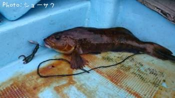 �����ʥ�