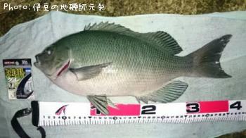 ¸ýÂÀ¥á¥¸¥Ê