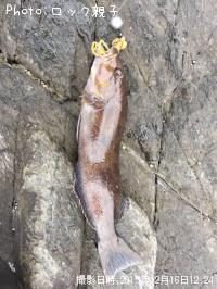 �����ʥ�