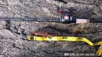 �����ʥ�