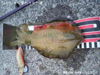 �����ꥤ��