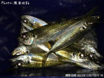 ���������ޥ�