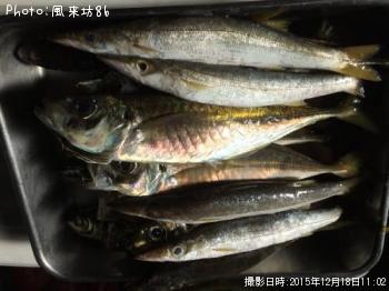 ���������ޥ�