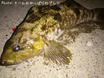 �����ʥ�