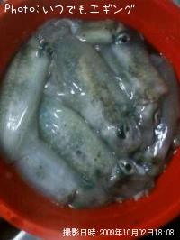 �����ꥤ��