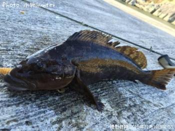 �����ʥ�