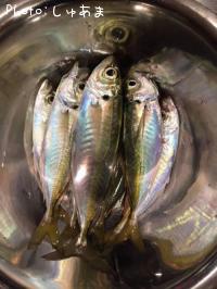 ¥¢¥¸