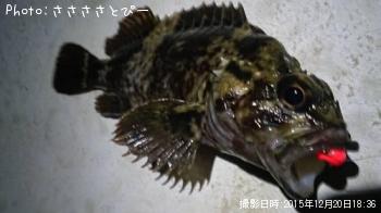 ��Х������