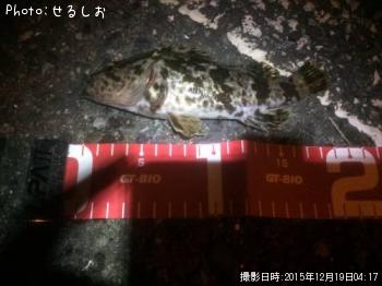 �������Υ���Х��