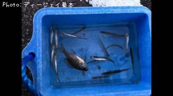 �參�������֥롼����