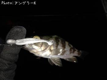 ¥á¥Ð¥ë