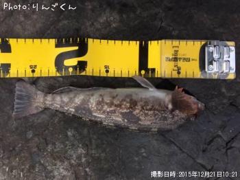 �����ʥ�