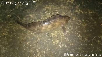 �����ʥ�