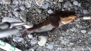 �����ʥ�