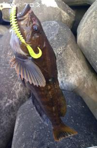 �����ʥ�