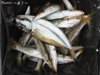 ���������ޥ�