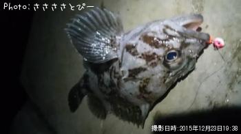 ��Х�������������Х�