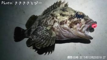 ��Х�������������Х�