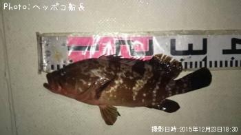 �����ϥ�