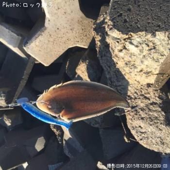 ¥·¥¿¥Ó¥é¥á