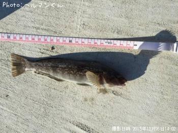 �����ʥ�