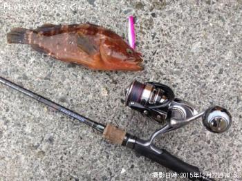 �����ϥ�