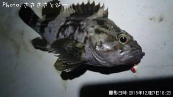 ��Х������