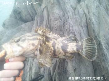 �����Υ���Х�