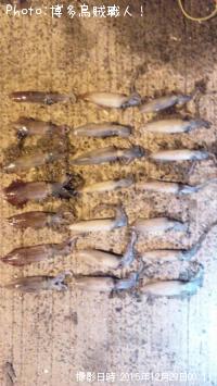 ¥±¥ó¥µ¥¥¤¥«