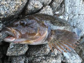 �����ʥ�