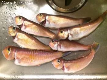 ���ޥ���