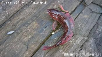 �����ʥ�