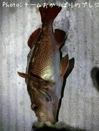 ������Х�