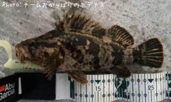 �����Υ���Х�