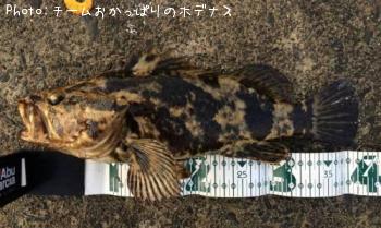 �����Υ���Х�