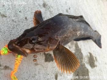 �����ʥ�