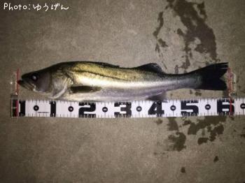 �����Х�