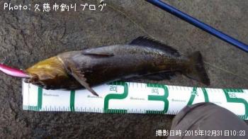 �����ʥ�