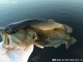 ¥Ö¥é¥Ã¥¯¥Ð¥¹