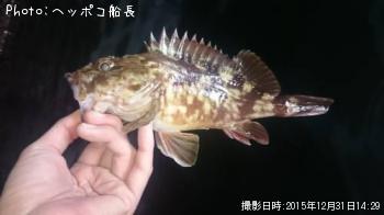 ¥«¥µ¥´¡õ¥¿¥±¥Î¥³