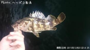 ¥«¥µ¥´¡õ¥¿¥±¥Î¥³