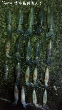 ���󥵥�����