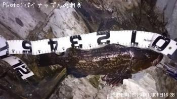 �����ʥ�